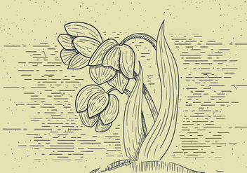 Free Detailed Vector Flower Illutration - бесплатный vector #412557